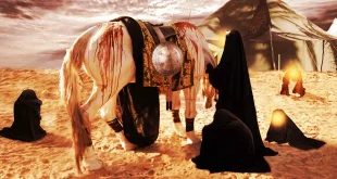 The Critical Role of Women in Karbala