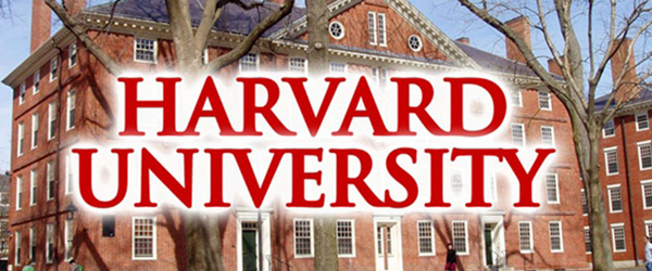 Islamic Studies Program at Harvard University - Ijtihad Network